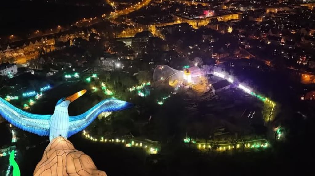 Spektakuläre Drohnenaufnahmen geben erste Eindrücke von den "Magischen Lichterwelten" im Bergzoo Halle.