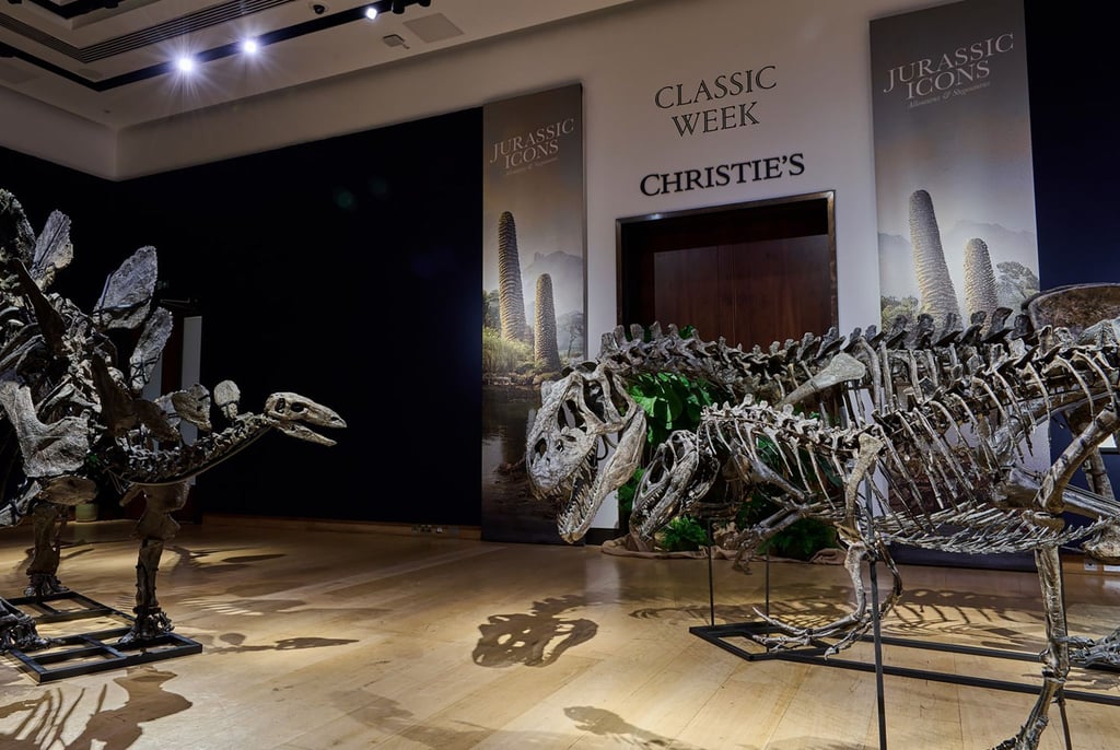 Die Fossilien sind schätzungsweise 157 bis 145 Millionen Jahre alt.