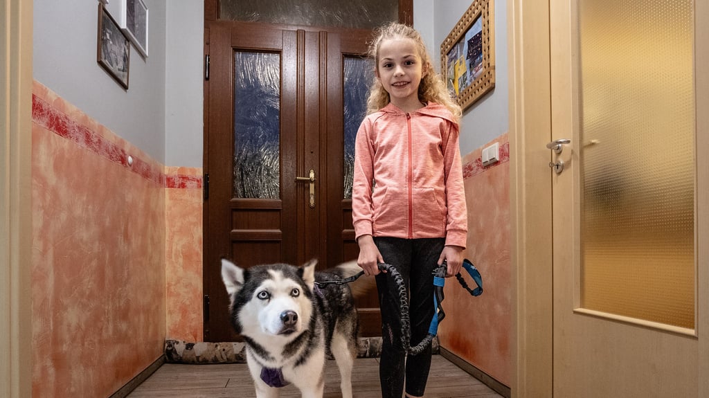 Alina Krumbholz ist mit Huskydame Easy beim diesjährigen Leipaer Schlittenhunderrennen angetreten – es war ihr erster derartiger Wettkampf.