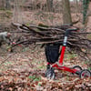 Ist das Holzsammeln im Wald verboten?