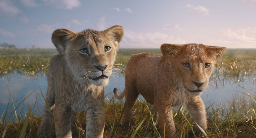 In „Mufasa: Der König der Löwen“ geht es um die Vorgeschichte des Disney-Originals von 1994.