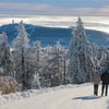 Der Winter kommt mit Schnee, Eis und Glätte nach Sachsen-Anhalt.