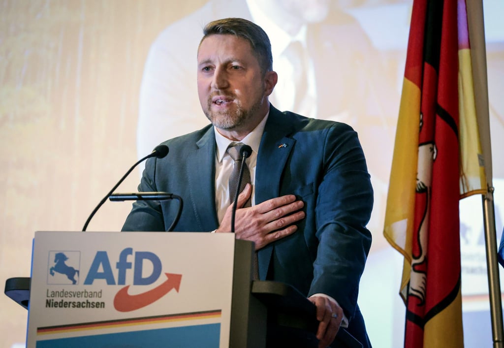 Brandes ist AfD-Spitzenkandidat aus Niedersachsen.