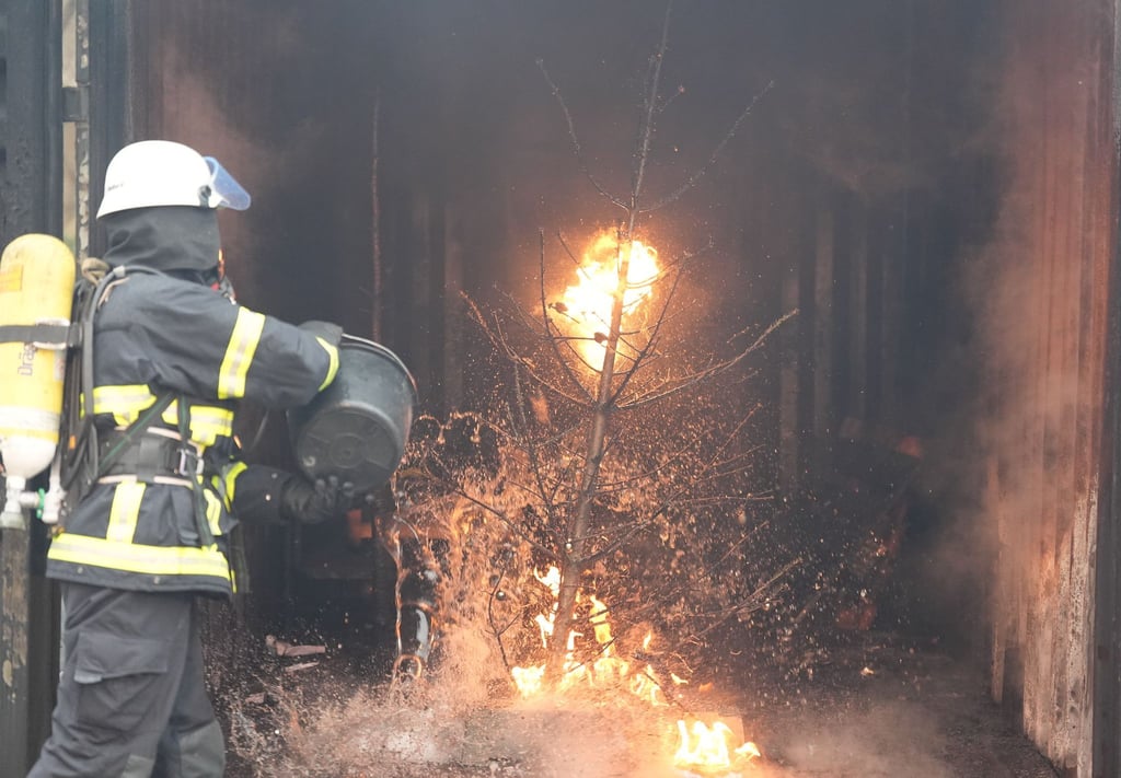 In einer Görlitzer Wohnung hat ein Weihnachtsbaum Feuer gefangen. (Symbolbild)