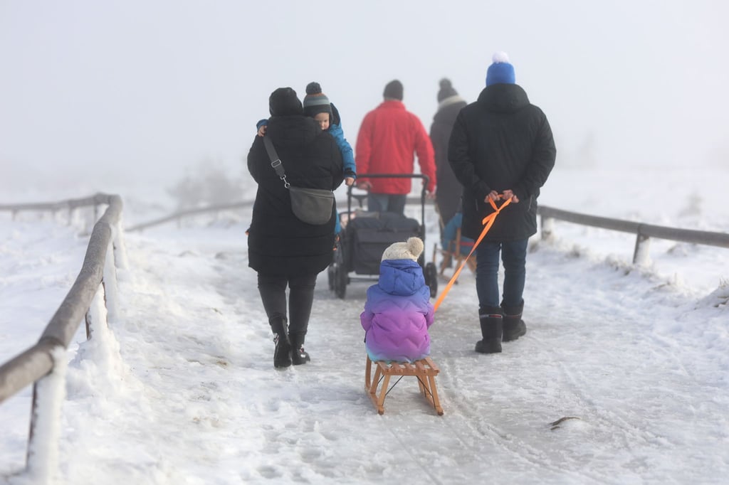 Das Wetter in Sachsen-Anhalt zeigt sich zum Jahresende grau.