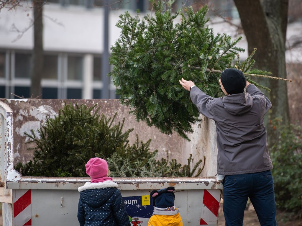Entsorgen, aber richtig: Am besten informiert man sich auf der Website des örtlichen Abfallentsorgers, wo der Weihnachtsbaum hingehört.