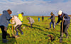 Rund 50 Menschen beteiligten sich an der Baumpflanzaktion in Trebnitz am 22. November.