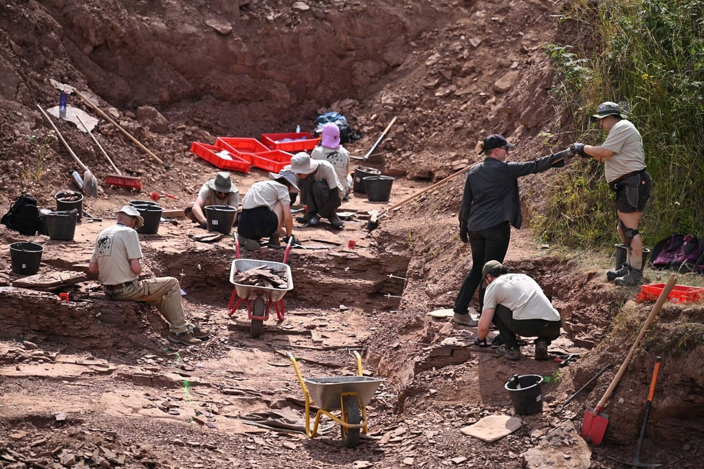 Wissenschaftler bei einer der Sommergrabungen an der Fossillagerstätte am Bromacker. Mehr als 1.500 Funde wurden bei den jährlichen Grabungen seit 2020 bereits geborgen. (Archivbild)