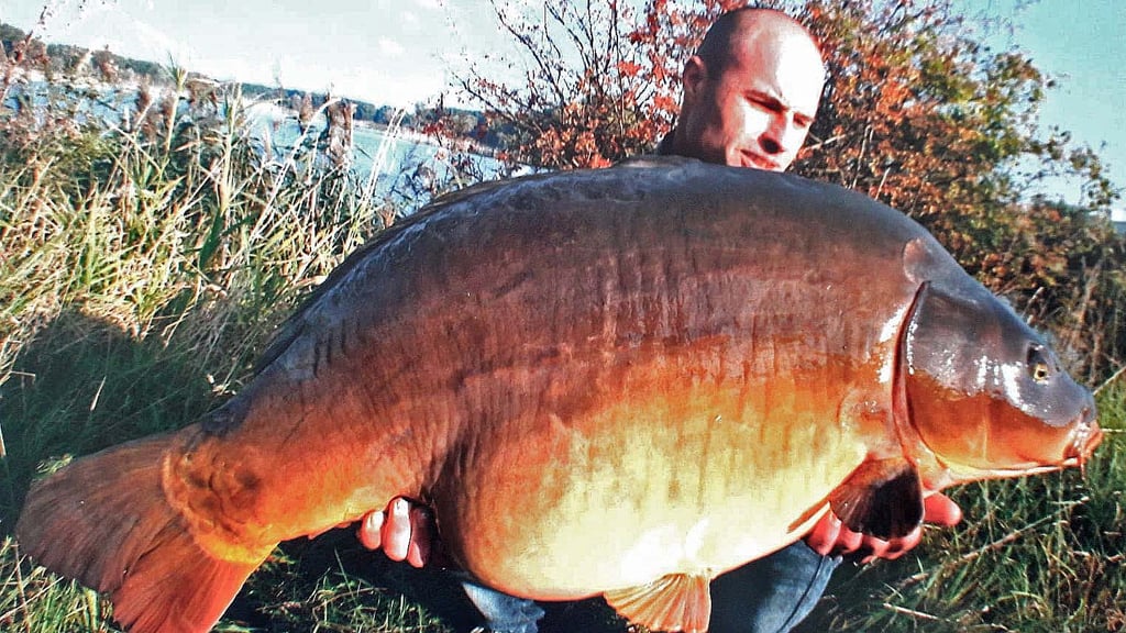 Der größte Karpfen, den Yves Herre je gefangen hat, brachte 28 Kilogramm auf die Waage.