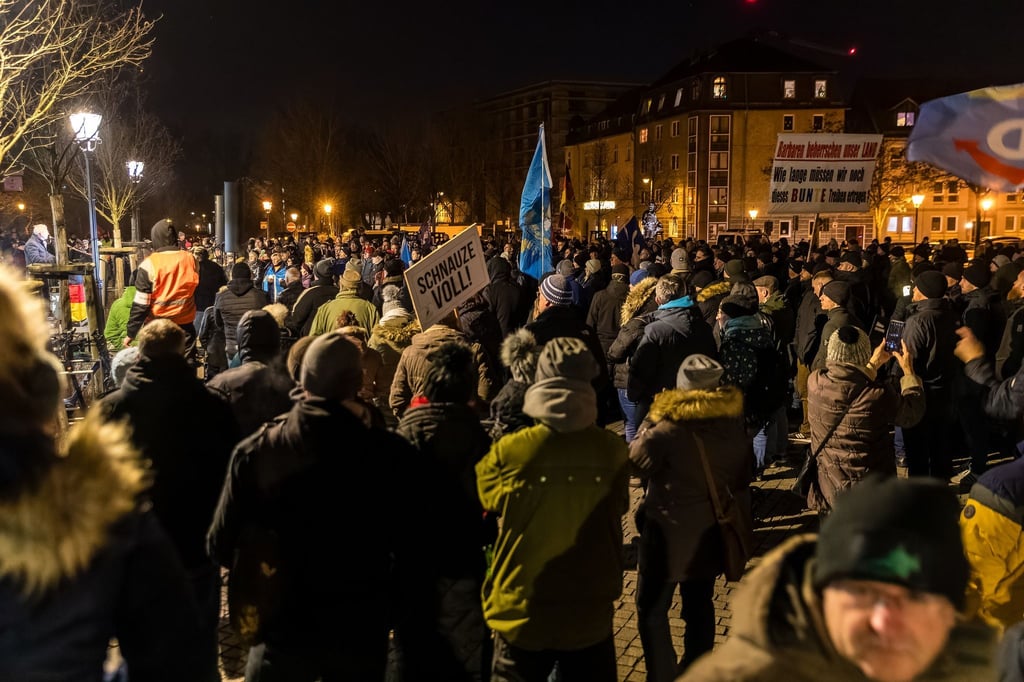 Hunderte kamen zu der AfD-Kundgebung.