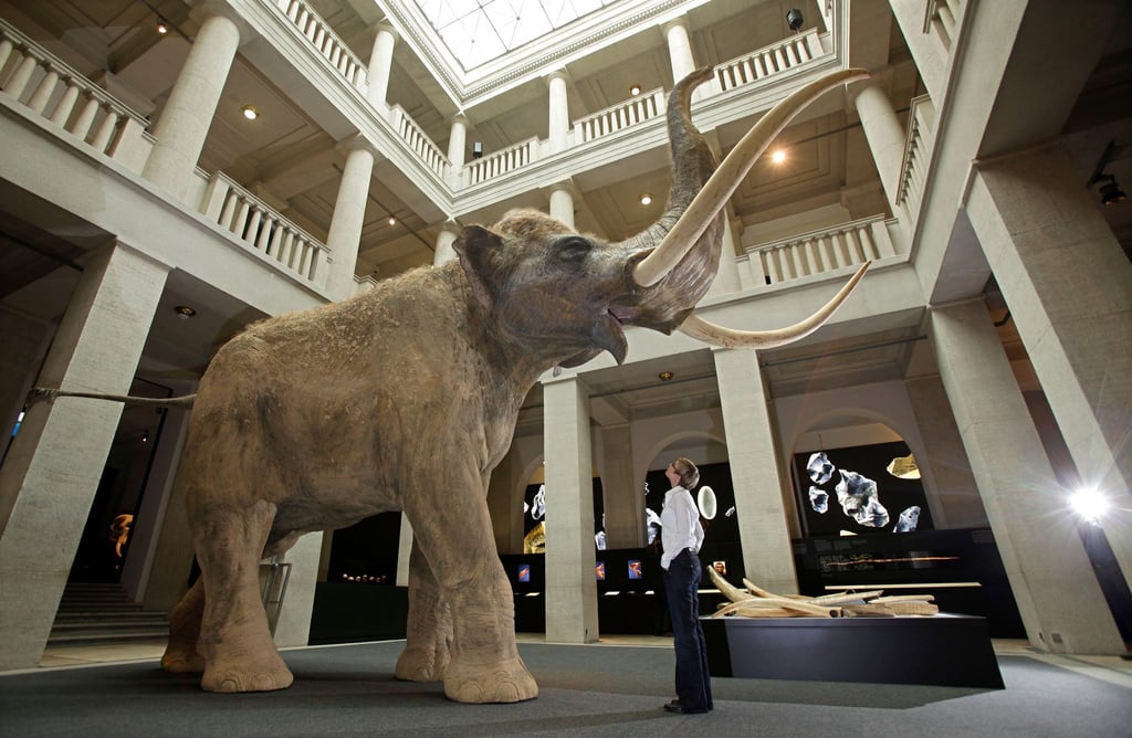 Staunen über die Geschichte: In diesem Jahr kamen rund 90.000 Besucherinnen und Besucher in das Landesmuseum nach Halle. (Archivbild)