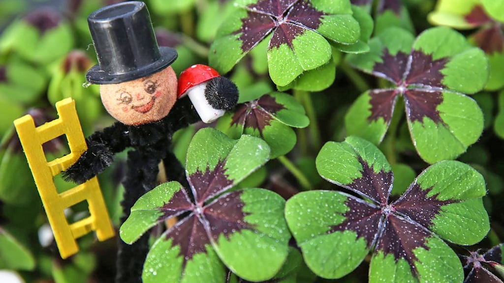 Schornsteinfeger, Fliegenpilz und vierblättriger Klee: Solche Glückbringer werden zu Beginn eines neuen Jahres gern verschenkt, auf dass die bevorstehenden Monate bestmöglich verlaufen.