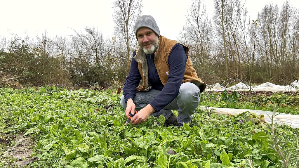 Dirk Kraushaar in seinem Marktgarten am Rand von Alt-Olvenstedt in der Nähe vom Stephan-Schütze-Platz in Magdeburg. Hier verbringt er fast täglich mehrere Stunden, um seine 2.000 Quadratmeter in Schuss zu halten.