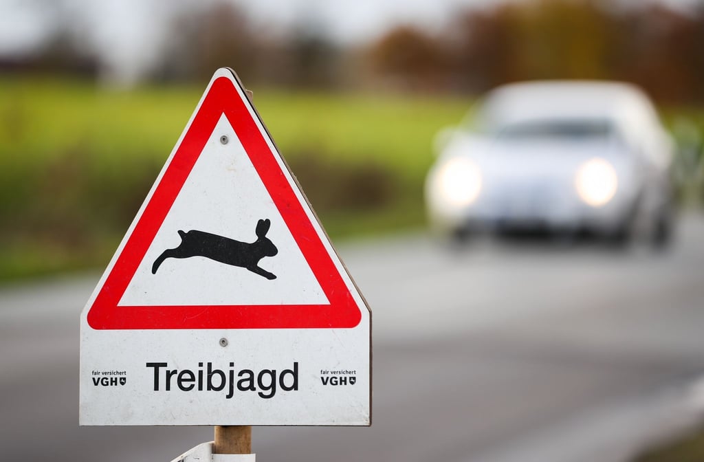 Bei einer Treibjagd im Landkreis Osnabrück wurde eine Leiche gefunden. (Symbolbild)