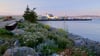 Der neue Bayfront Park in San Francisco: früher Industriegebiet, heute Erholungsort mit Aussicht.