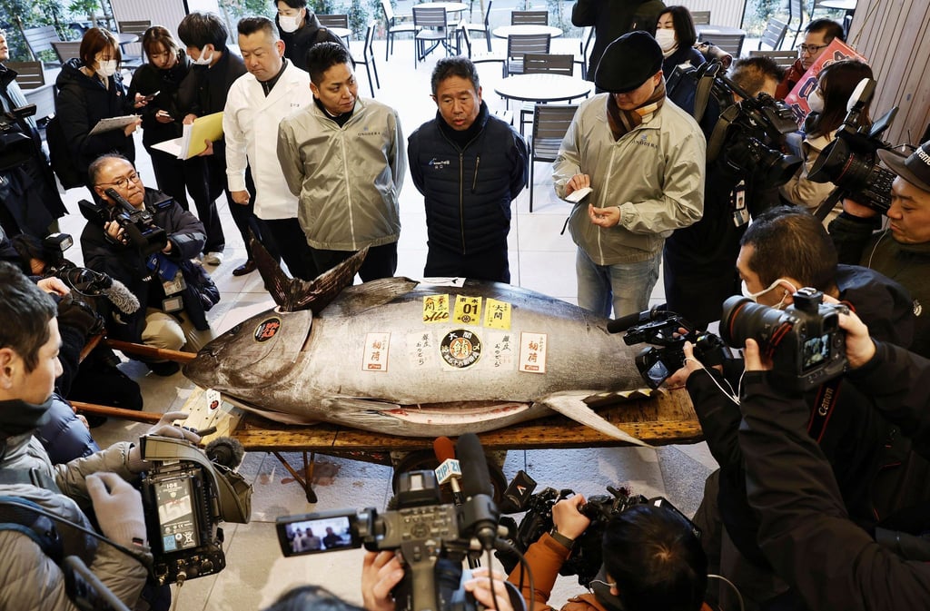 Die erste Auktion eines Thunfisches im Neuen Jahr gilt vielen in Japan als Gradmesser für Glück und Wohlstand.