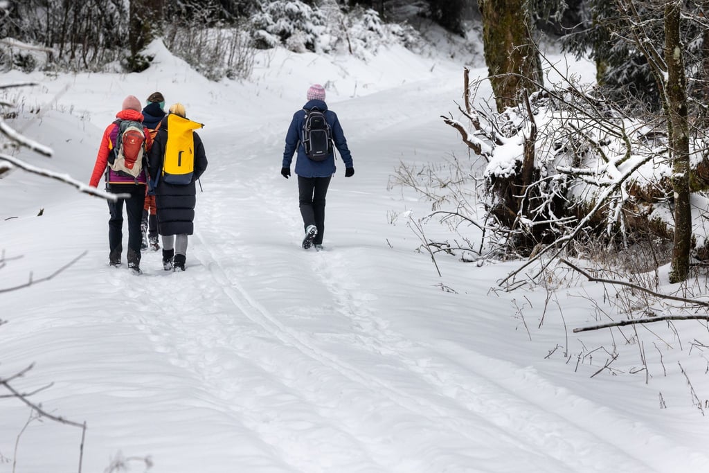 Manche Menschen nutzen den Schnee für Winterwanderungen.
