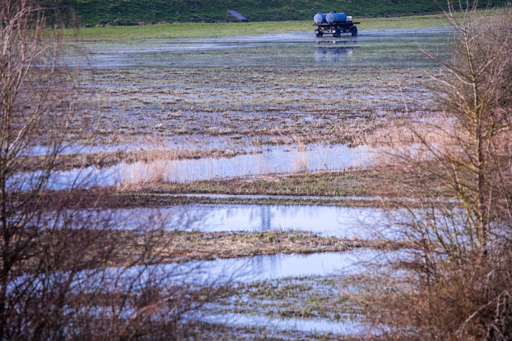 Die meisten Pegelstände haben sich beim Grundwasser in Sachsen-Anhalt nach der Dürre der vergangenen Jahre erholt. (Archivbild)