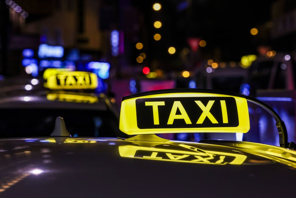 Das Taxi war in der Dessauer Wasserwerkstraße unterwegs.