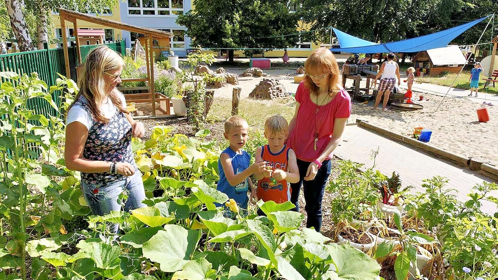 Zum Modellprojekt „Gesund aufwachsen in Hettstedt“ gehörte natürlich auch die gesunde Ernährung und nachhaltiger Anbau in den Kindertagesstätten der Stadt.