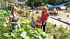 Zum Modellprojekt „Gesund aufwachsen in Hettstedt“ gehörte natürlich auch die gesunde Ernährung und nachhaltiger Anbau in den Kindertagesstätten der Stadt.