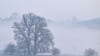 Nach einem wechselhaften Mittwoch kehrt am Donnerstag in Berlin und Brandenburg der Schnee zurück. (Archivbild)