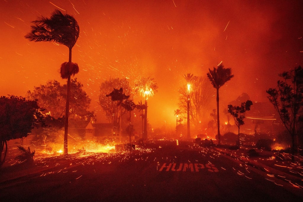 In der Feuerzone haben viele Hollywoodstars Villen.