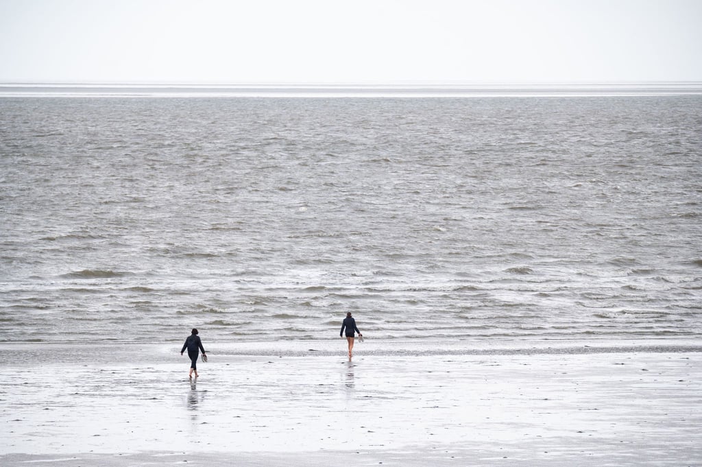 Das Bundesamt für Seeschifffahrt und Hydrographie hat für Nord- und Ostsee überdurchschnittlich hohe Temperaturen des Oberflächenwassers ermittelt.