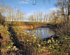 Winterliche Idylle: Biotop auf dem Weg von Tornitz nach Grube Alfred. 