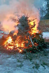 Brennender Abschied vom Weihnachtsbaum im Burghof