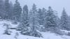 In den nächsten Tagen bringt das Wetter winterliches Wetter nach Sachsen-Anhalt. (Archivbild)