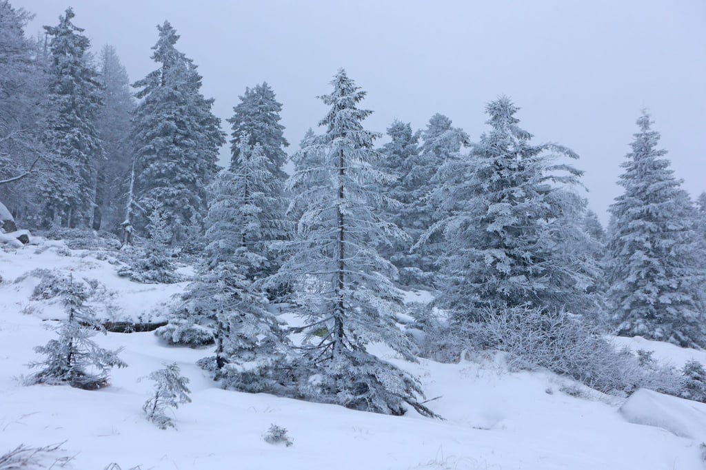 In den nächsten Tagen bringt das Wetter winterliches Wetter nach Sachsen-Anhalt. (Archivbild)