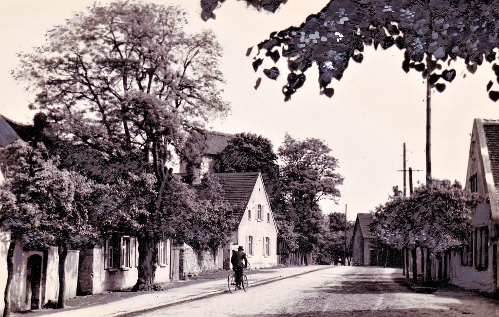 Einen Blick auf Alt Lostau gibt dieses Foto aus dem Volksstimme-Archiv, aufgenommen 1952, frei.