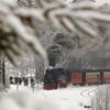 Die Harzer Schmalspurbahn ist immer ein Highlight, aber im Winter mit Schnee macht es ganz besonders viel Spaß, die Bahn zu fotografieren, sagt der Hobbyfotograf Michael Lumme aus Abbenrode im Landkreis Harz.