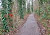 Kranke Bäume direkt am Seeweg wurden mit roter Farbe markiert. 