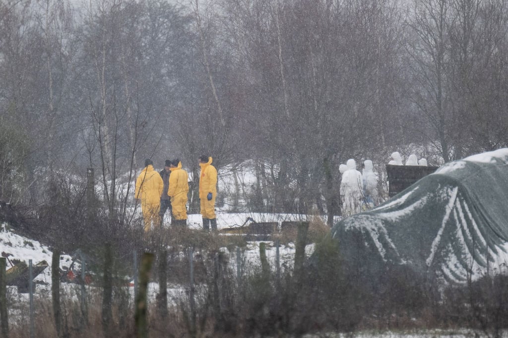 Nach dem Ausbruch der Maul- und Klauenseuche wurde zunächst eine Wasserbüffel- Herde getötet. Fachleute waren im brandenburgischen Landkreis Märkisch-Oderland im Einsatz.