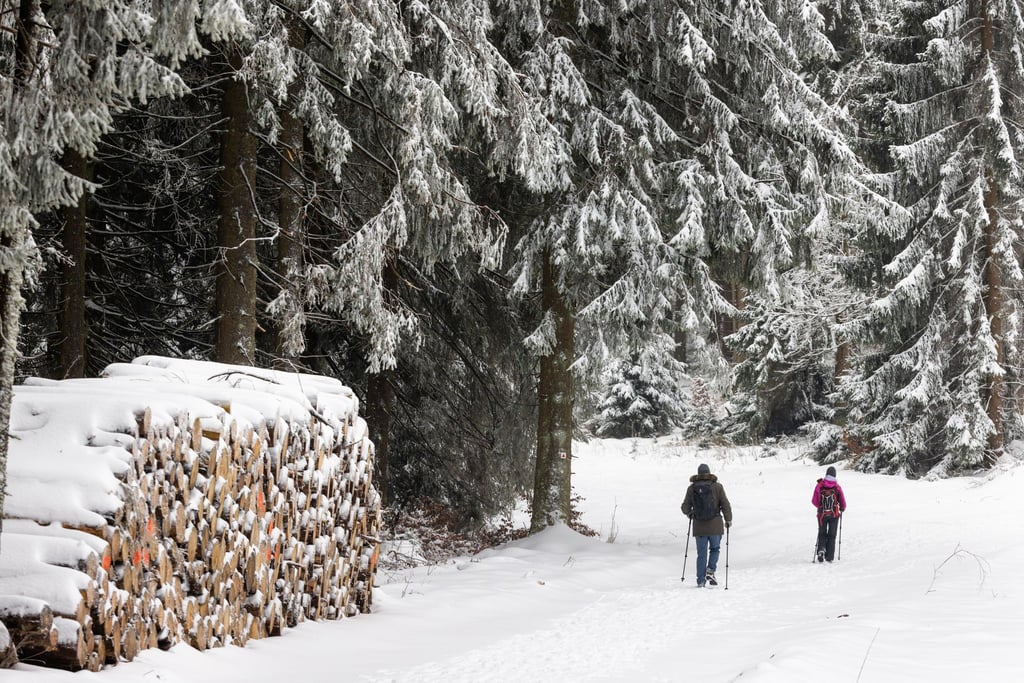 Schneefans dürften am Wochenende auf ihre Kosten kommen. (Archivbild)