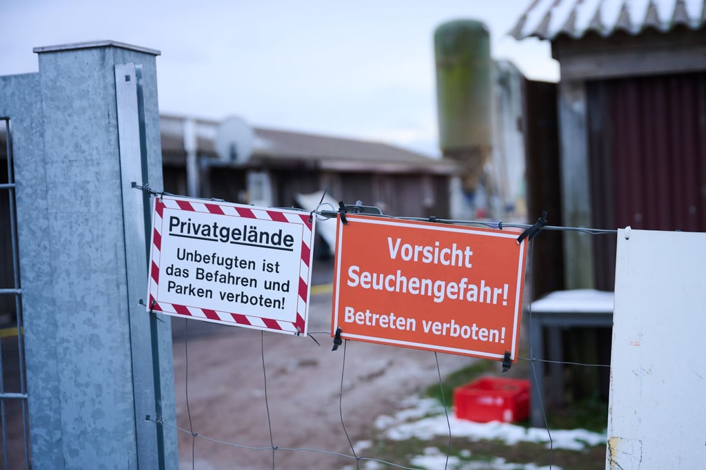 Schutzmaßnahmen sind angelaufen nach dem Ausbruch der Maul- und Klauenseuche. (Archivbild)