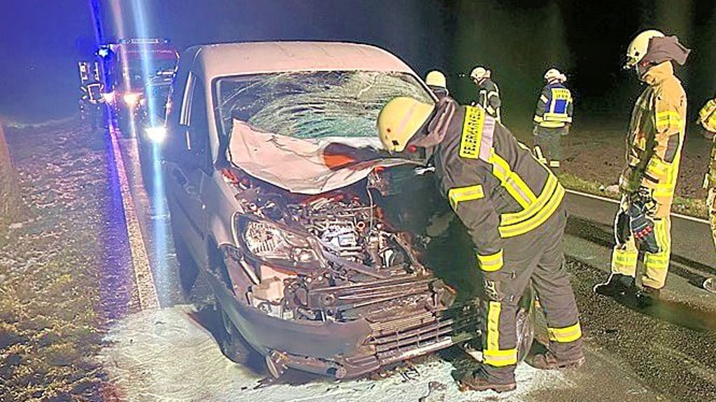 Das demolierte Auto nach dem Unfall mit der Kuh