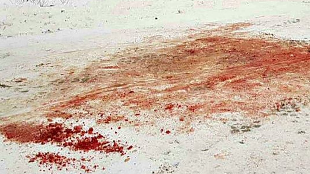 So sah es nach dem Umladen des Wilds auf dem Parkplatz nahe der Rodelbahn in Stolberg aus. Der Schnee war vom Blut der zuvor bei einer Jagd getöteten Tiere rot gefärbt.