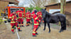 Die Freiwillige Feuerwehr Rodleben war am Wochenende beim Reitsportverein Neeken und traf auf das neugierige Pferd Mylow. 