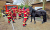 Die Freiwillige Feuerwehr Rodleben war am Wochenende beim Reitsportverein Neeken und traf auf das neugierige Pferd Mylow. 