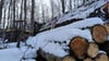 Gefällte Bäume und Harvester im Wald: Forstarbeiten nahe des Klosters Himmelpforte zwischen Wernigerode und Darlingerode beunruhigen Harzer.