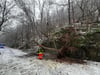 Am 9. Januar hat die Meisdorfer Feuerwehr diesen umgestürzten Baum an der L 230 beseitigt, schon am nächsten Tag folgte ein ähnlicher Einsatz.