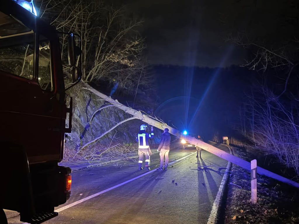 Etliche Bäume mussten wieder von den Straßen geräumt werden – hier: zwischen Alexisbad und Mägdesprung.
