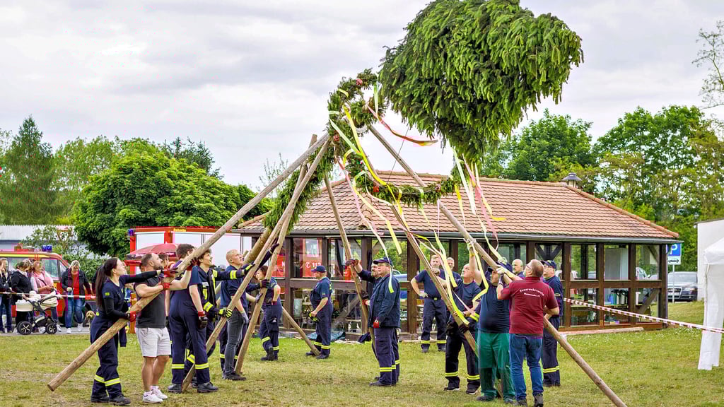 Das Pfingsbaumsetzen auf der Wetterzeubener Festwiese im vergangenen Jahr.