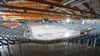 Wegen einer Havarie in der Eisarena ist das Spiel von Ingolstadt in Bremerhaven abgebrochen worden.