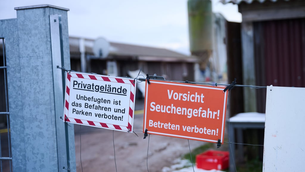Im brandenburgischen Kreis Märkisch-Oderland ist die gefüchtete und hochansteckende Maul- und Klauenseuche ausgebrochen.