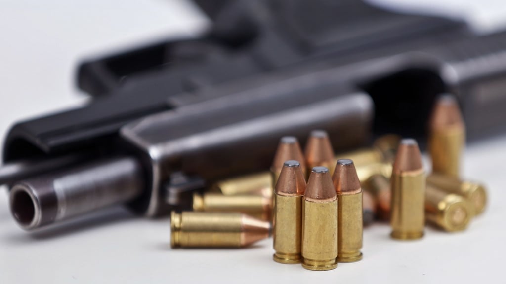 Zwei Jugendliche, die einem Jäger aus Silstedt eine Pistole gestohlen haben, sind jetzt vom Amtsgericht Wernigerode verurteilt worden.