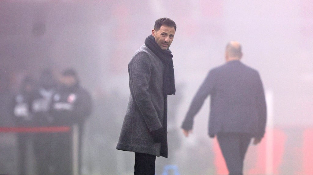 Domenico Tedesco muss beim belgischen Nationalteam als Trainer gehen.